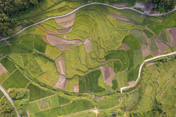 丘陵地区农田鸟瞰图图片下载