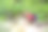 穿着红色衬衫的十几岁前的男孩在山谷里徒步旅行，探索大自然，在小溪里玩水。为精力充沛的孩子提供积极的休闲活动。适合孩子们的夏季户外娱乐图片下载