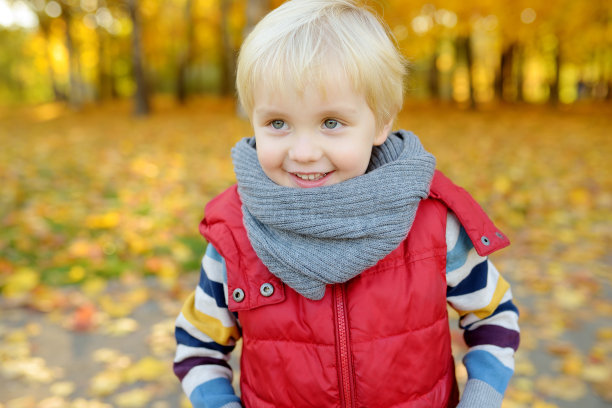 一个快乐的小男孩在阳光明媚的秋日漫步在森林里的特写照片图片下载