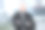 特写镜头。一个成功人士的肖像在模糊的背景图片下载