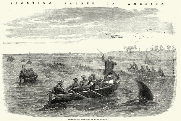 猎人在南卡罗来纳州追逐魔鬼鱼，船和矛，19世纪50年代，狩猎的历史图片下载