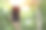 年轻女子手持智能手机在森林里捕捉信号。图片下载