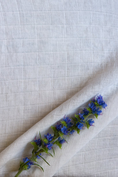 天然亚麻质地与紫罗兰花的小花束。天然面料精致的背景。图片下载