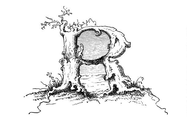 由木头和根制成的华丽的字母R图片下载