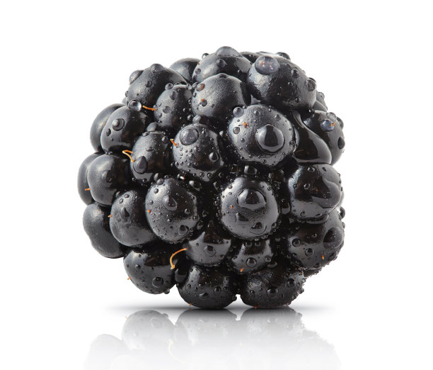 新鲜成熟多汁的黑莓特写孤立，工作室微距拍摄图片下载