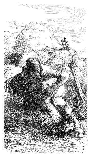 女子捆绑麦束，蜡笔画小米图片下载