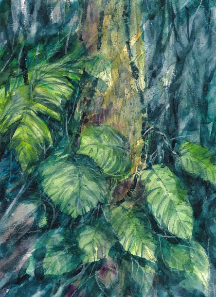 树常春藤雨自然手绘水彩画图片下载