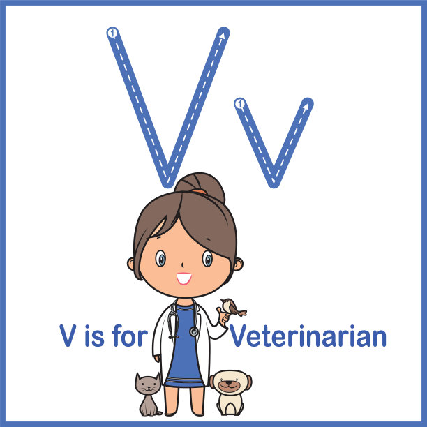 抽认卡字母V代表兽医媒介插图图片下载