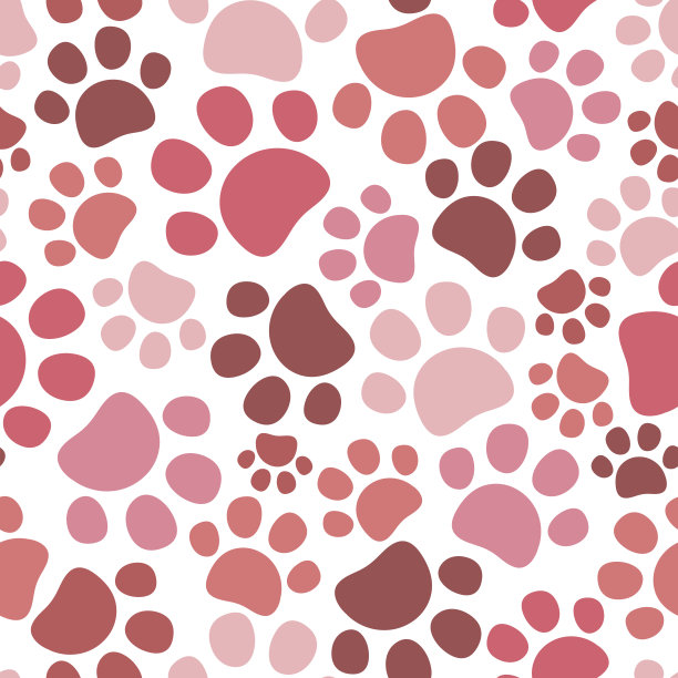 可爱的无缝宠物爪子图案。白色背景上的猫或狗脚印。矢量插图。图片下载