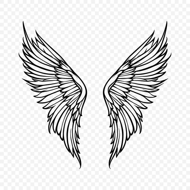 矢量翅膀图标。复古天使翅膀图标，设计模板，剪贴画。丘比特、天使或鸟的翅膀。矢量图图片下载