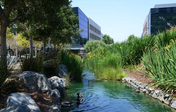 美国加州洛杉矶普拉亚维斯塔2023年5月8日中央公园图片下载