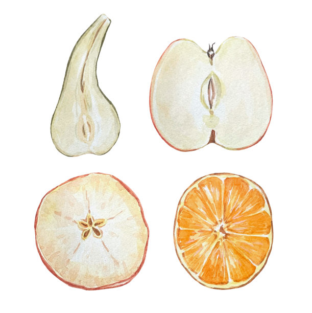 水彩画集与干果隔离在白色背景图片下载