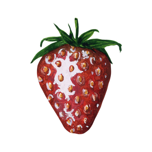 成熟的新鲜多汁的草莓隔离在白色的背景，手绘水彩插图。用于明信片、贺卡、请柬、纺织品、印刷品、背景、包装的设计。图片下载
