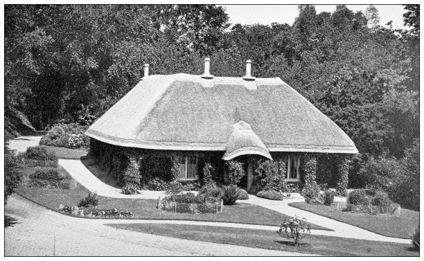 爱尔兰的古董旅行照片:罗斯岛，基拉尼图片下载