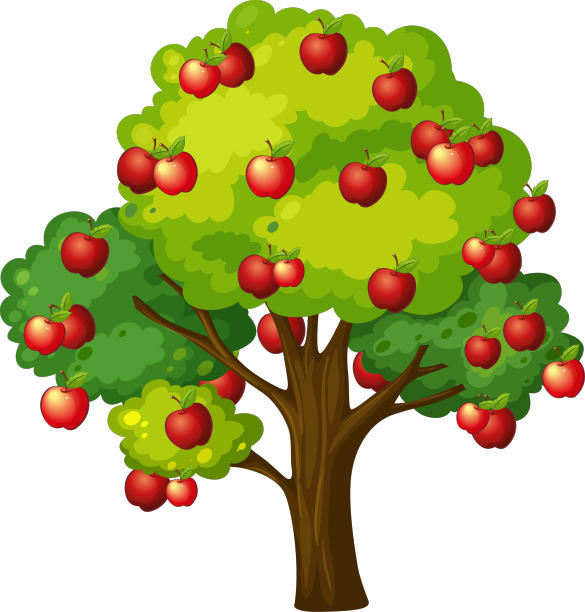 苹果树被隔离在白色背景上图片下载
