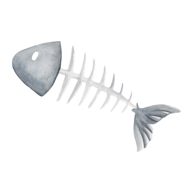 水彩鱼骨架在白色的背景。剪贴画设计的婴儿海报，贴纸，织物，托儿所室装饰，包装纸，邀请卡。图片下载