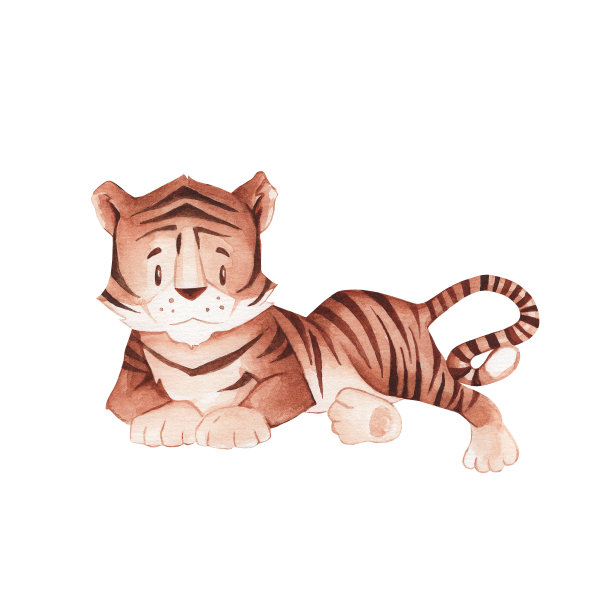 水彩画可爱的老虎在一个白色的背景。孩子们对野生动物的描绘。非洲动物。剪贴画设计的婴儿海报，贴纸，织物，托儿所室装饰，包装纸，邀请卡图片下载