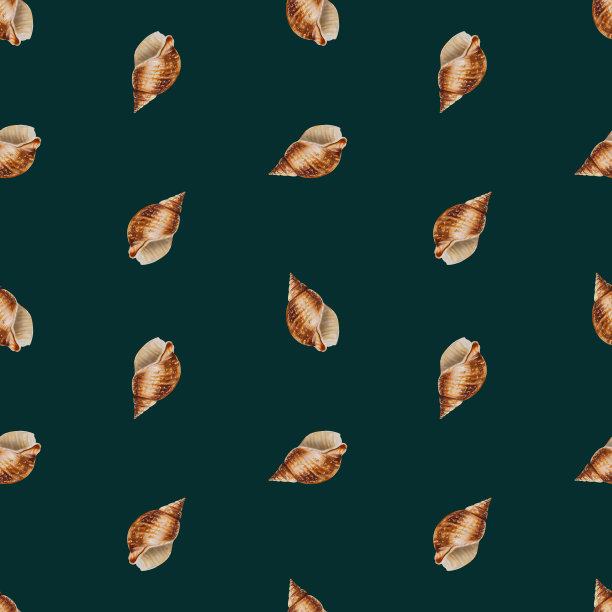 水彩无缝图案与壳。手绘剪纸水下生活对象在一个白色孤立的背景。适合设计师，装饰，明信片，包装纸，剪贴簿，封面，请柬，婚礼设计，海报和纺织品图片下载
