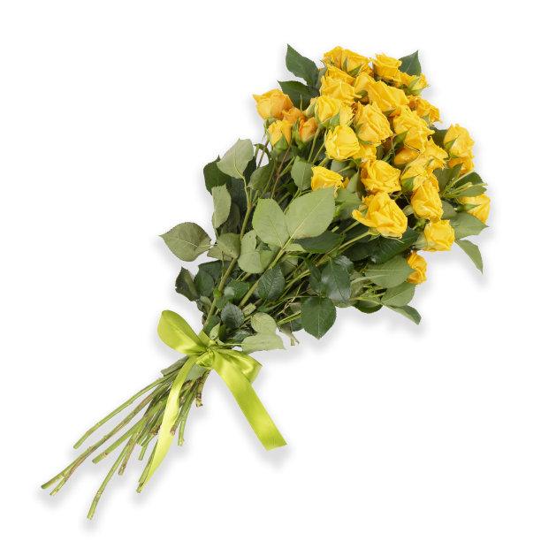 在白色的背景上，一束黄色的玫瑰配上绿色的丝带图片下载