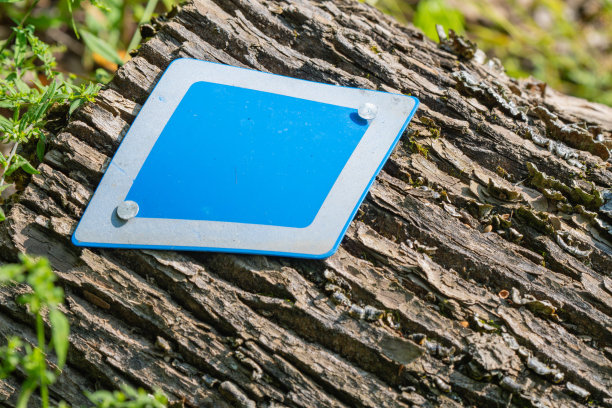 以树皮为背景的徒步路线标志图片下载