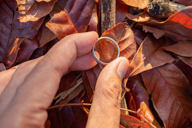 结婚戒指照片拍摄概念男子持有结婚戒指与阳光和干树叶的背景。图片下载