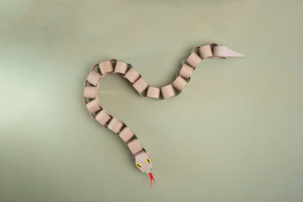 用卫生纸卷做成的蛇，用回收纸板做成的工艺品，DIY图片下载