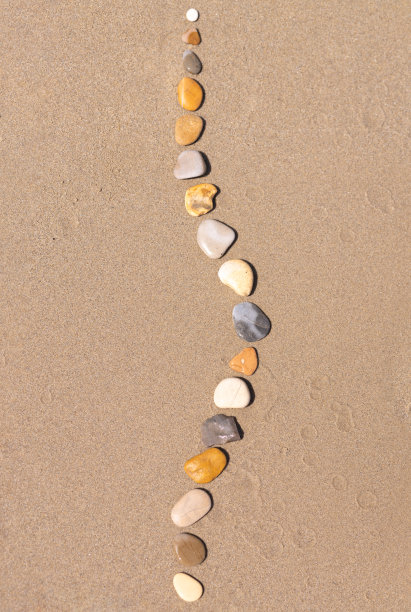 沙滩上的海石。骨骼的概念，脊柱侧曲异常图片下载