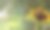 花、春、花植物学图片下载