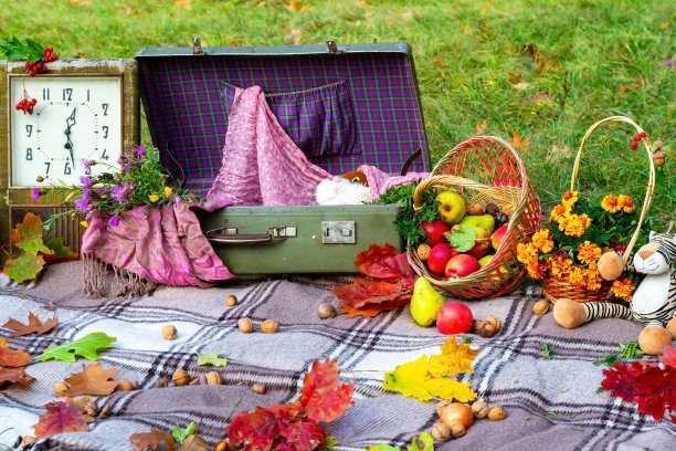 为孩子们在大自然中的秋天野餐。秋天在公园野餐。积极的生活方式理念。床罩、旧钟、秋叶、苹果、果篮、野餐上的毛绒玩具，上面点缀着大自然黄红叶。积极的生活方式理念。森林野餐。金盟图片下载