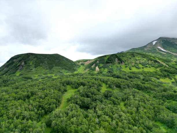 亚洲森林雨林山脉丘陵树木绿色景观图片下载