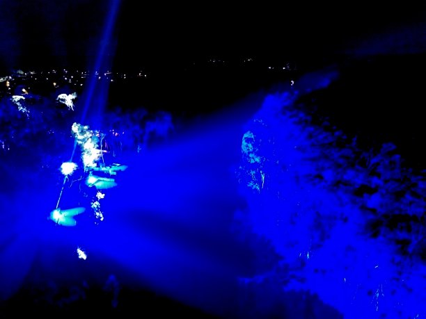 墨累河上的灯光秀图片下载