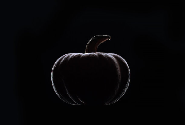 黑白南瓜背光轮廓光图片下载