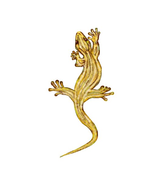 长着红宝石眼睛的金色蜥蜴图片下载