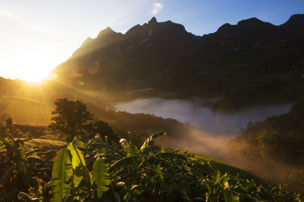 清晨，清迈省清岛山的薄雾和初升的太阳图片下载