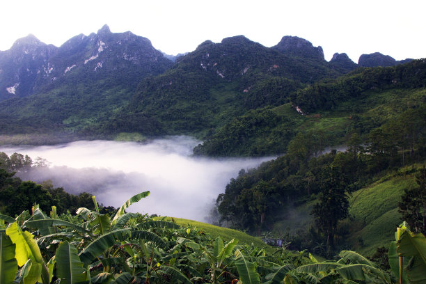 清迈省清岛山清晨的薄雾图片下载