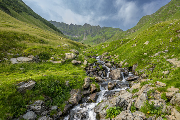 美丽的山谷和一条小溪。罗马尼亚的法加拉斯山脉。图片下载