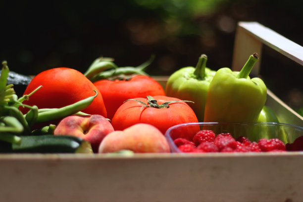 花园里的一箱食物图片下载