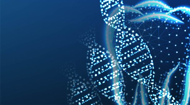 牙科保健。抽象的Dna分子。低聚线框网格设计。矢量插图。孤立在深蓝色背景上图片下载