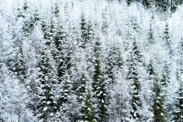喀尔巴阡山脉的冬天图片下载