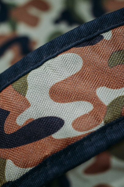 这种模式图片下载