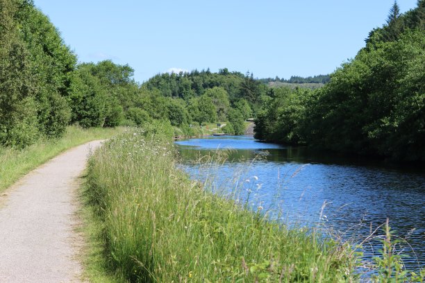 夏季的乡村运河和拖道图片下载