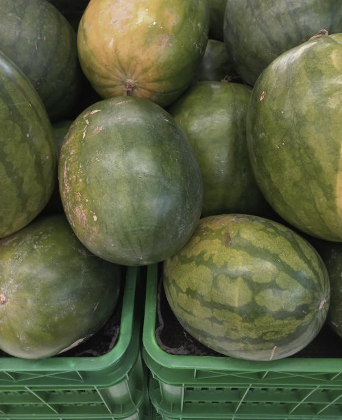 西瓜(Citrullus lanatus)图片下载