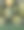 西瓜(Citrullus lanatus)图片下载