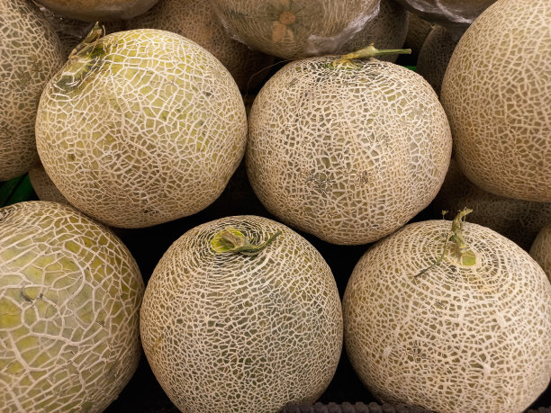 甜瓜(甜瓜)
l .)图片下载