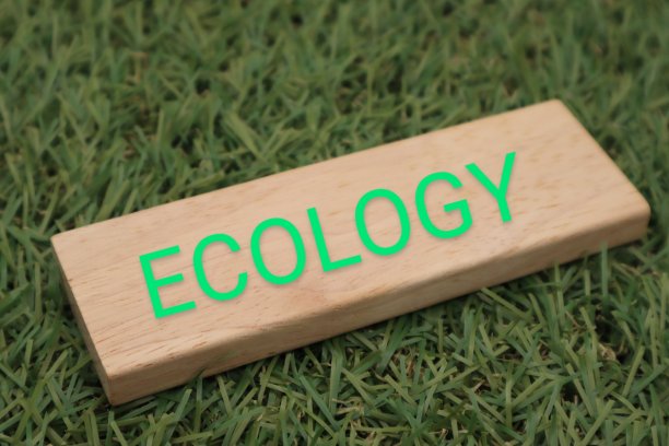 上面写着生态学的积木图片下载