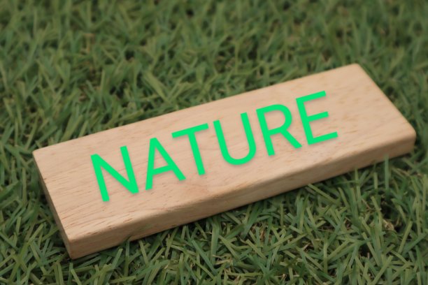 写着大自然的积木图片下载