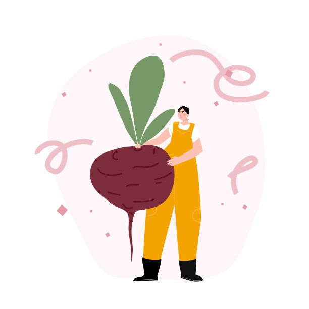 农民拿着收获的蔬菜。一个女人拿着一个超大的甜菜根的平面矢量插图。人们正在收获绿叶健康的有机甜菜。花园和植物工作概念。图片下载