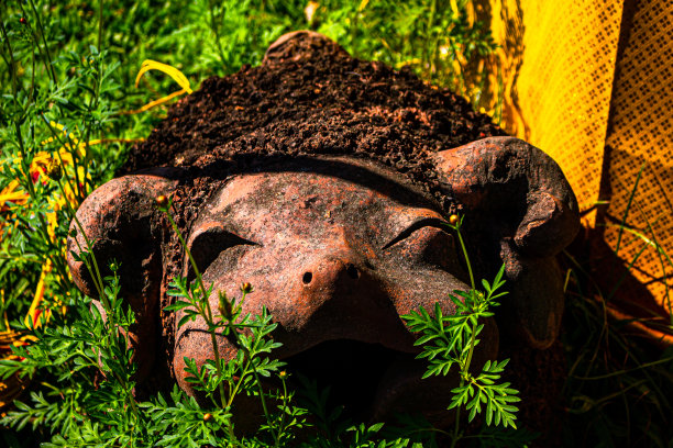 清迈一座寺庙外的小生物(泰国佛教神话和民间传说中的神圣雕像:泰国寺庙之旅)图片下载