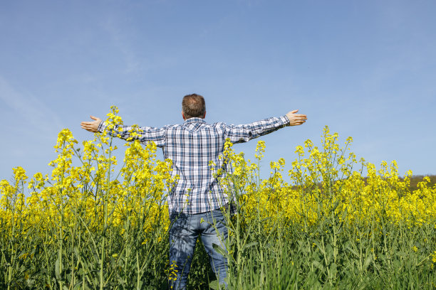 一位男性农艺师站在田地里，双臂向两边伸展。一个人享受自然和孤独。一位男农民站在收获地里图片下载