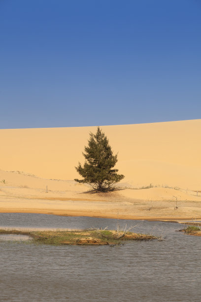 沙丘附近的Phan Rang，宁顺，越南，亚洲图片下载